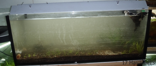 4ft-clear-08.jpg