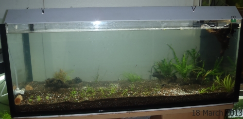 4ft-clear-10.jpg