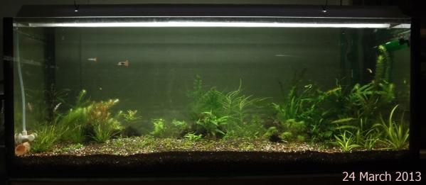 4ft-clear-18.jpg