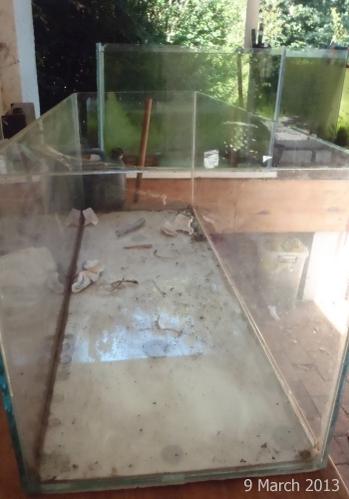 4ft-clear.jpg