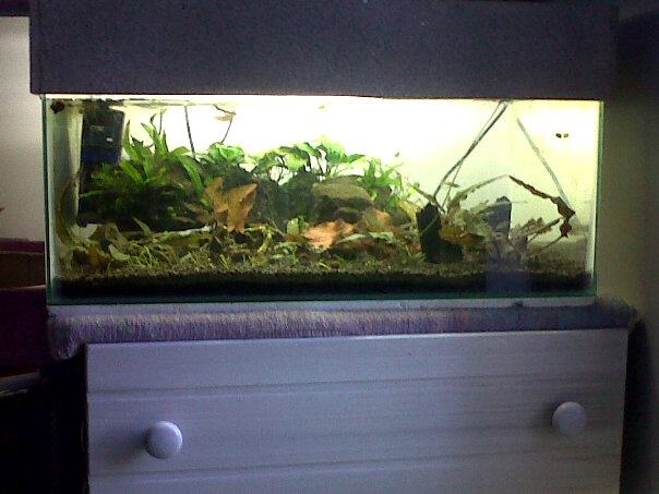 50L.jpg