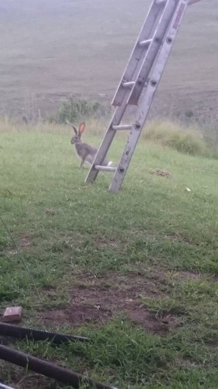 8442a8d24dce363e8b14b2c7993feec0.jpg