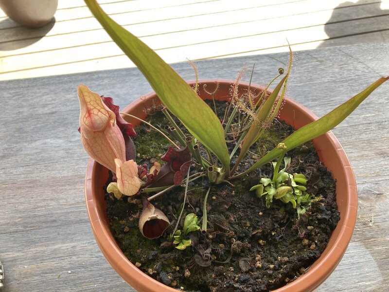 85DBF5BE-996A-4FD6-8D0E-2F6DFFEC444D.jpeg
