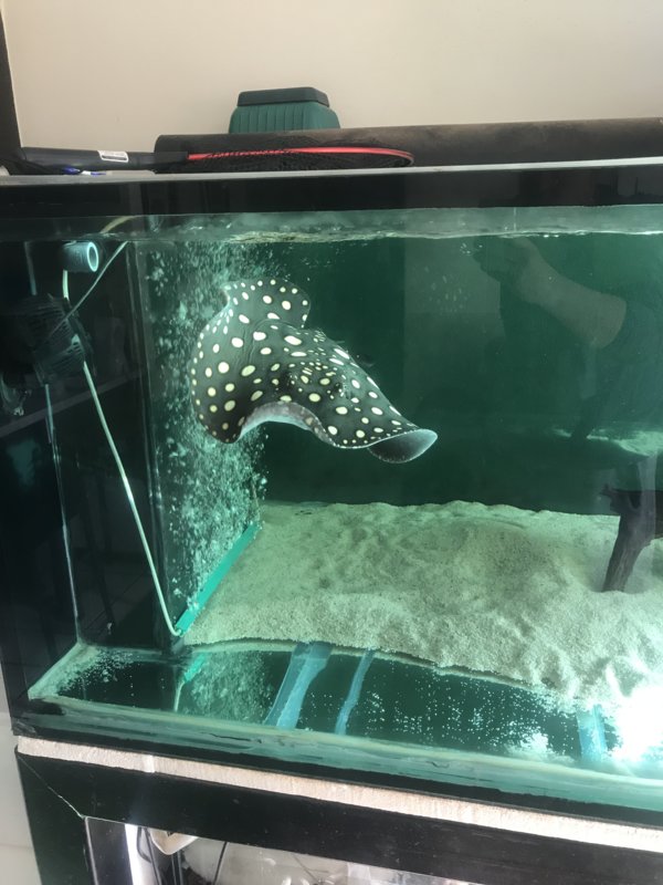 8FEBDA9A-C52B-4606-A18C-BE4A2EB6B615.jpeg