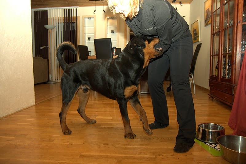 _MG_3063.jpg