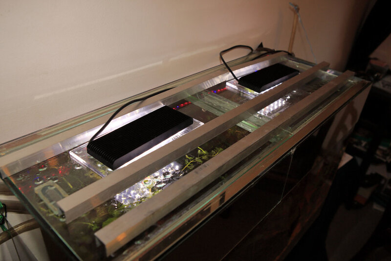 For Sale Full Aquarium With Stock Cape Town Tropical Aquariums SA