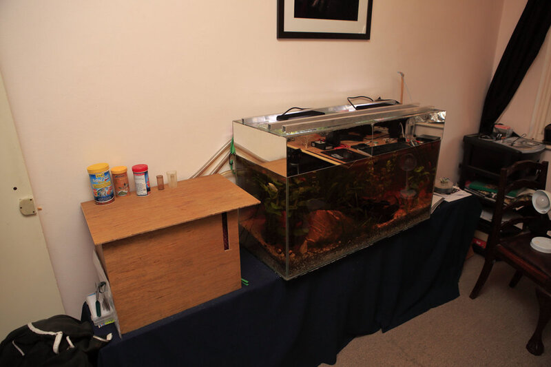 For Sale Full Aquarium With Stock Cape Town Tropical Aquariums SA