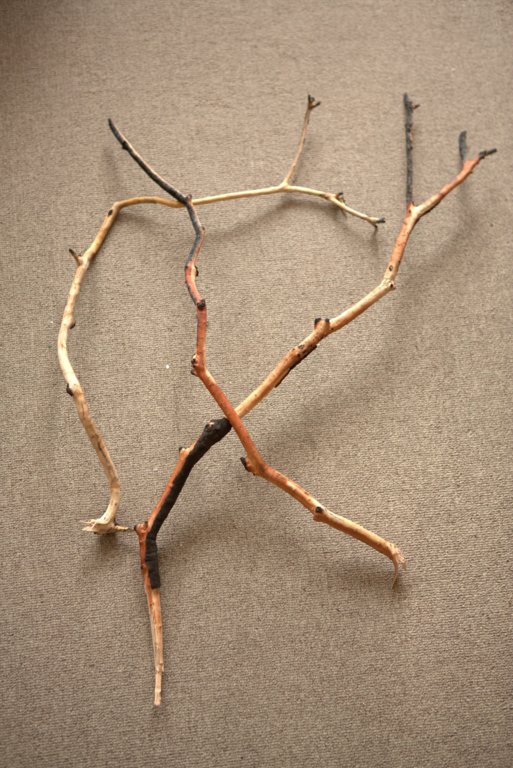 For Sale Full Aquarium With Stock Cape Town Tropical Aquariums SA