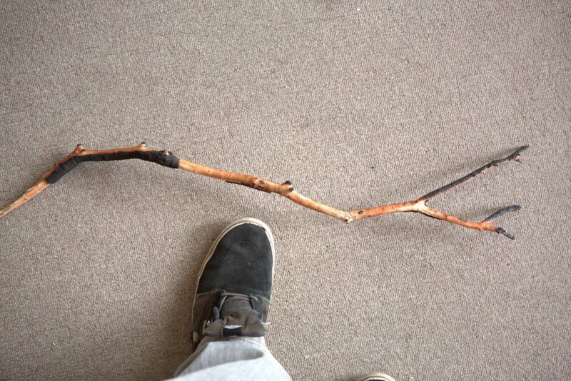 For Sale Full Aquarium With Stock Cape Town Tropical Aquariums SA