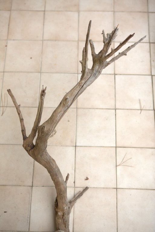 For Sale Full Aquarium With Stock Cape Town Tropical Aquariums SA