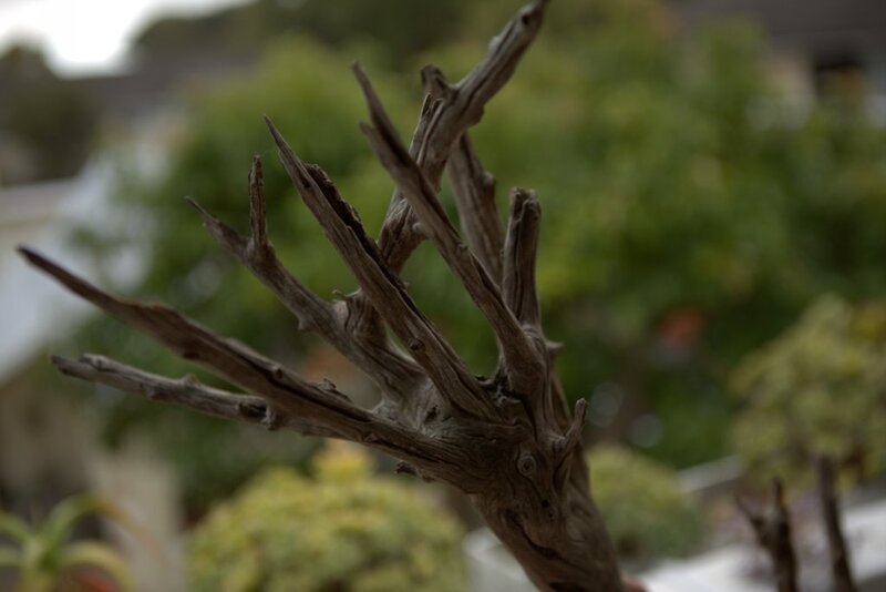 For Sale Full Aquarium With Stock Cape Town Tropical Aquariums SA