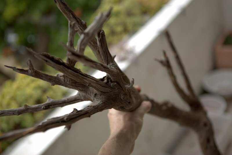 For Sale Full Aquarium With Stock Cape Town Tropical Aquariums SA