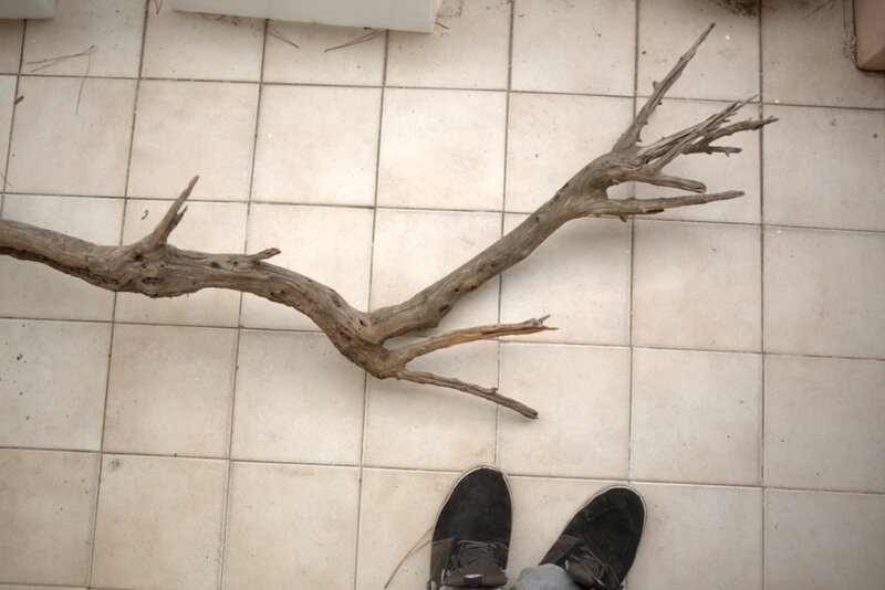 For Sale Full Aquarium With Stock Cape Town Tropical Aquariums SA