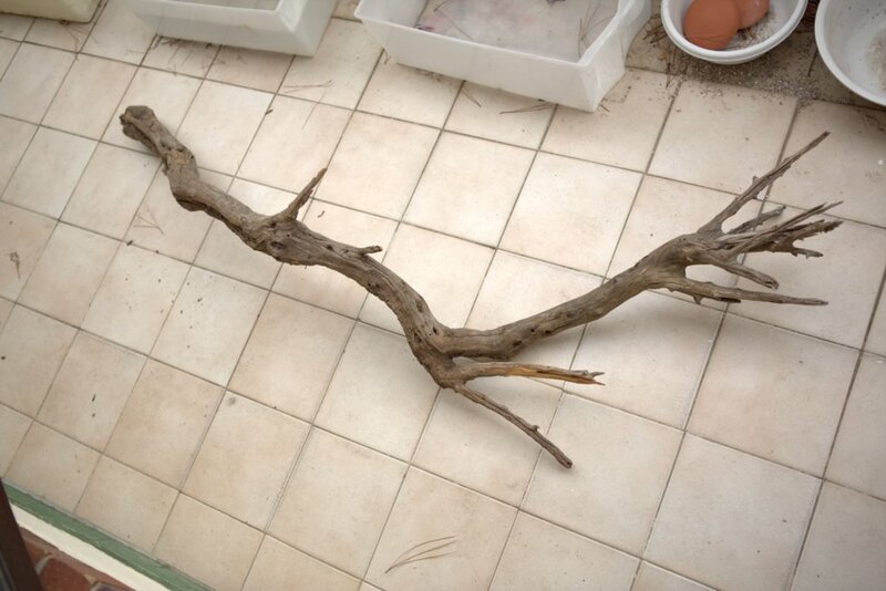 For Sale Full Aquarium With Stock Cape Town Tropical Aquariums SA