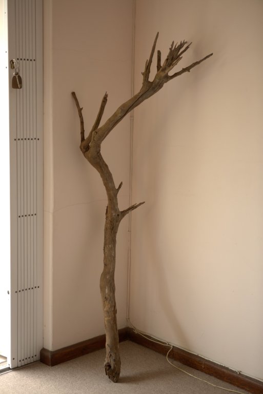 For Sale Full Aquarium With Stock Cape Town Tropical Aquariums SA