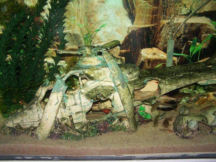 [FS] Fish tanks for sale Cape Town, Kraaifontein Cape Town