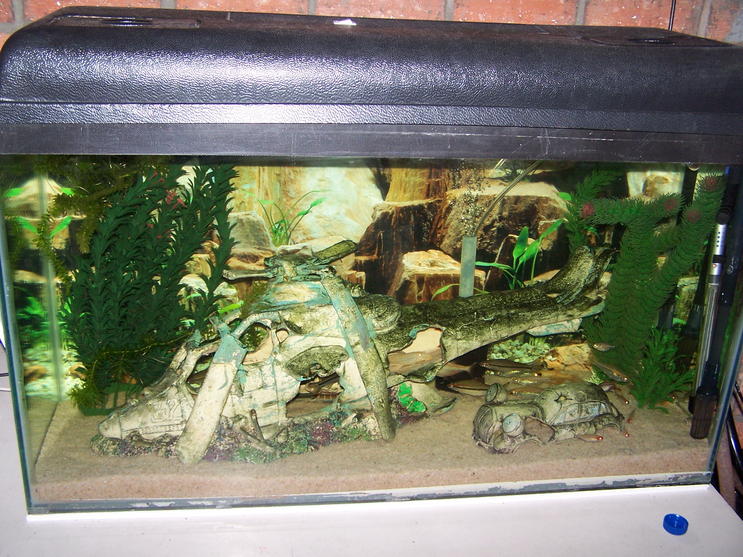 [FS] Fish tanks for sale Cape Town, Kraaifontein Cape Town Tropical Aquariums SA