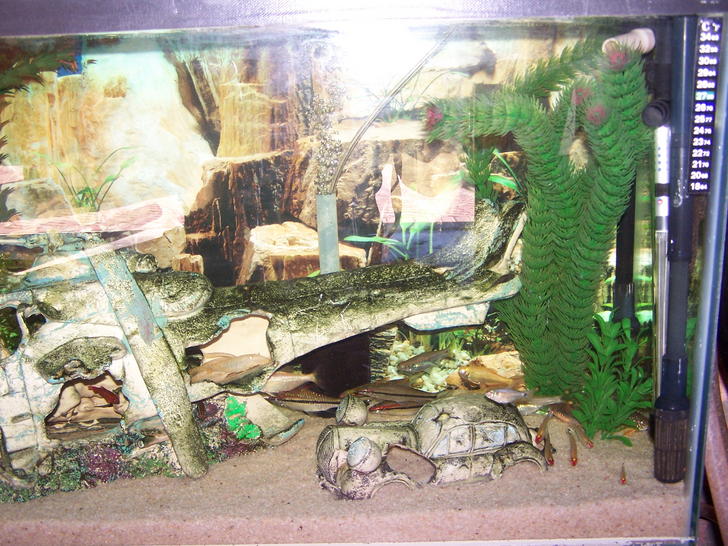 [FS] Fish tanks for sale Cape Town, Kraaifontein Cape Town