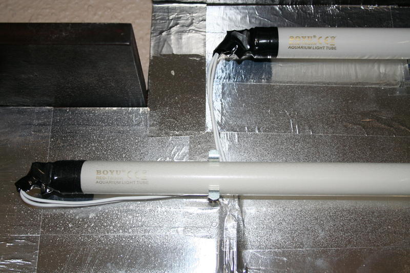 aquarium lights 2.jpg