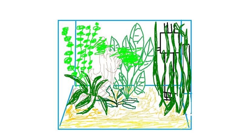 aquarium planning.jpg