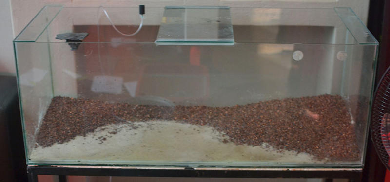 aquascaping_1.jpg