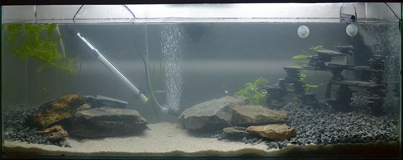 aquascaping_2.jpg