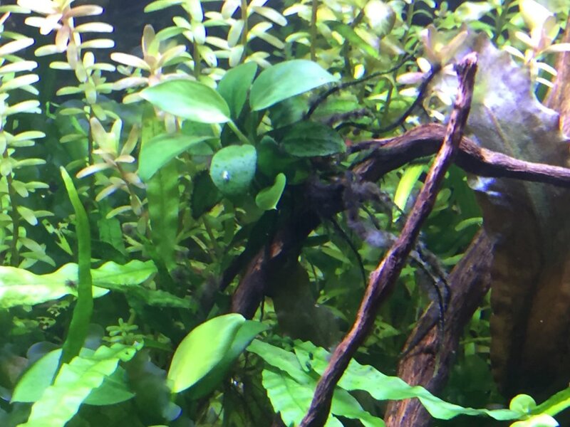 BA5436E2-CE03-44C2-A463-0304CB0598B3.jpeg