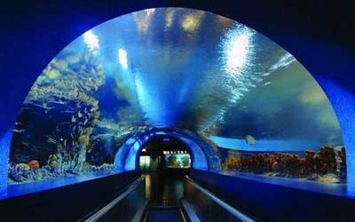 Beijing Aquarium Largest Inland.jpg