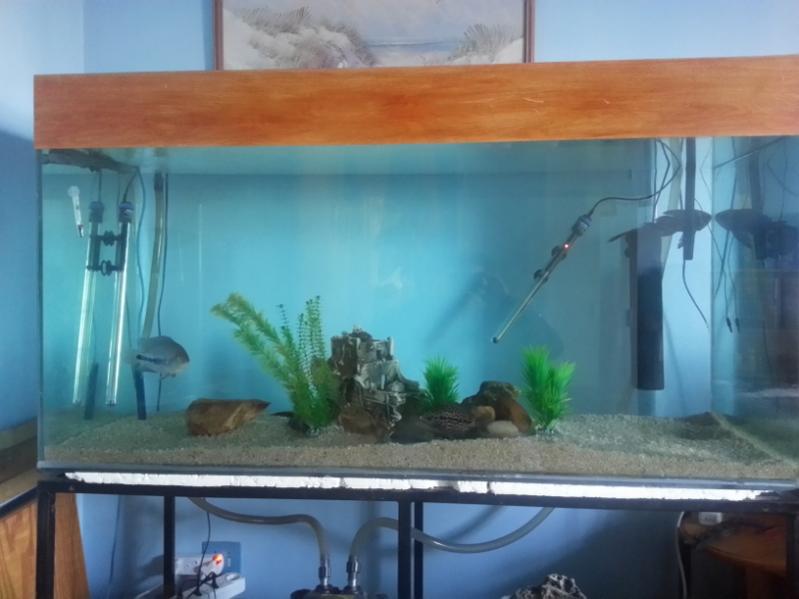 big tank.jpg