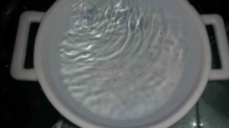 bowl.jpg