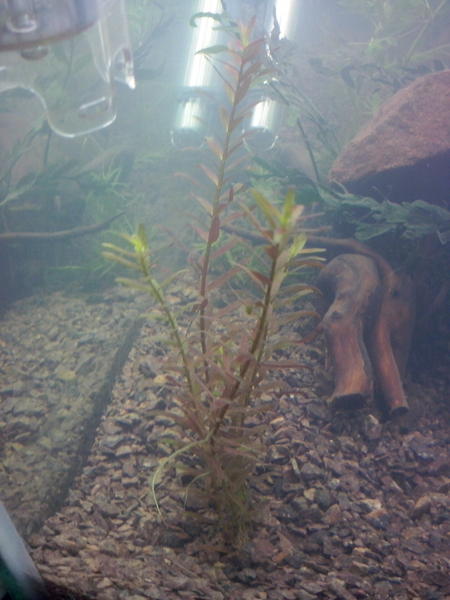 CAM00207.jpg