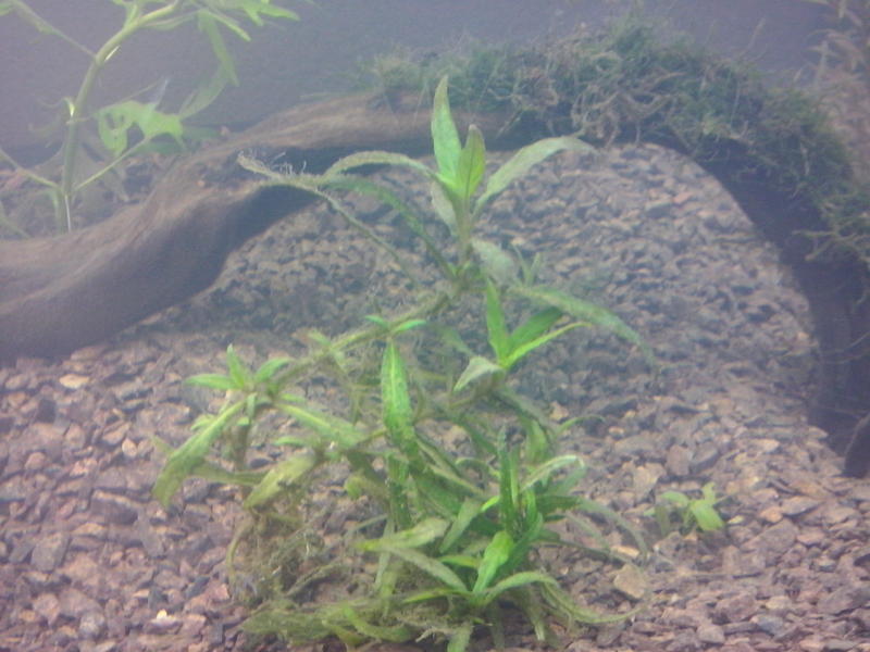 CAM00208.jpg