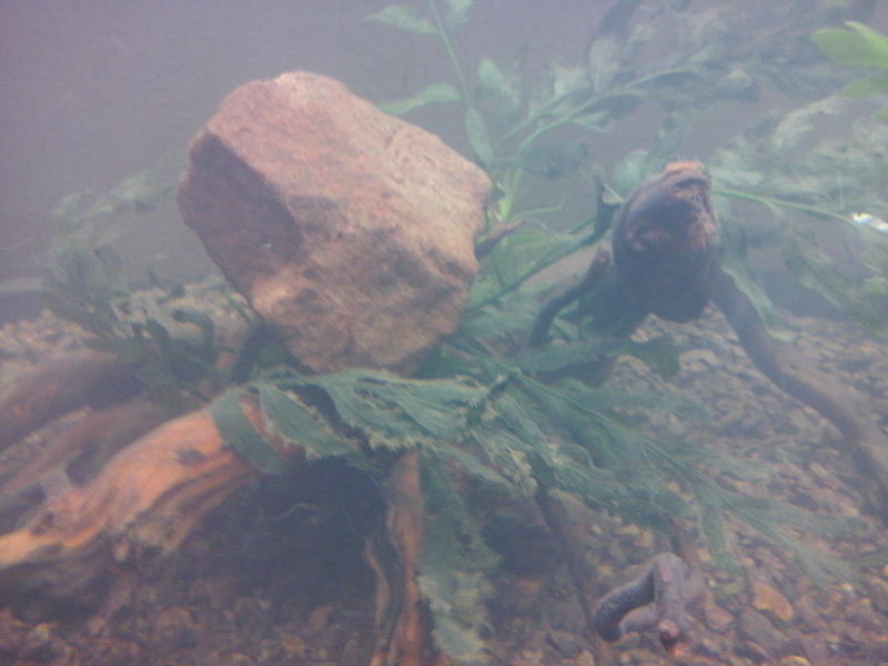 CAM00210.jpg