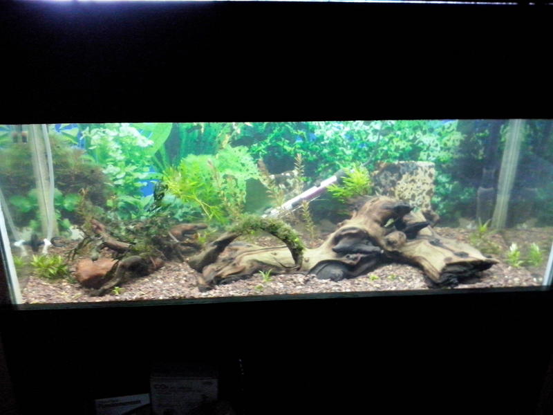 CAM00239.jpg