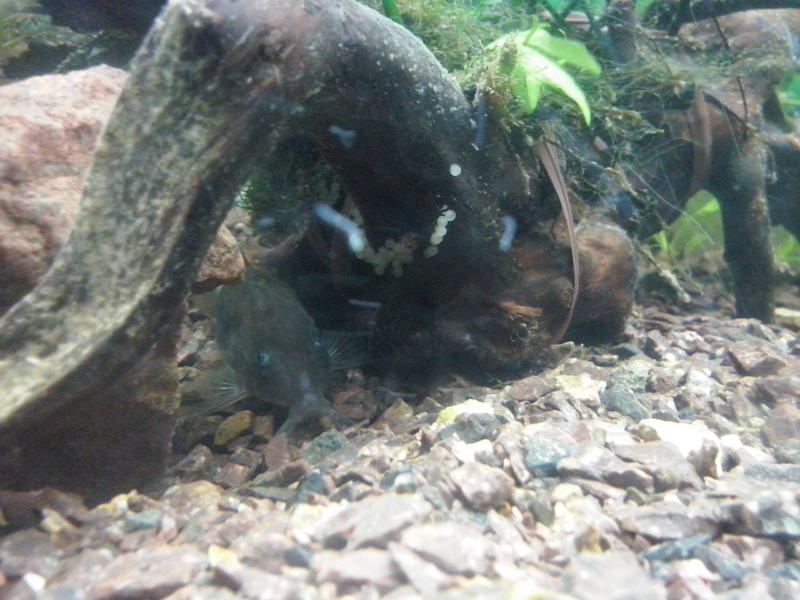 CAM00254.jpg