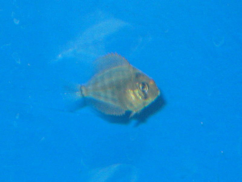 canon pics 008.jpg