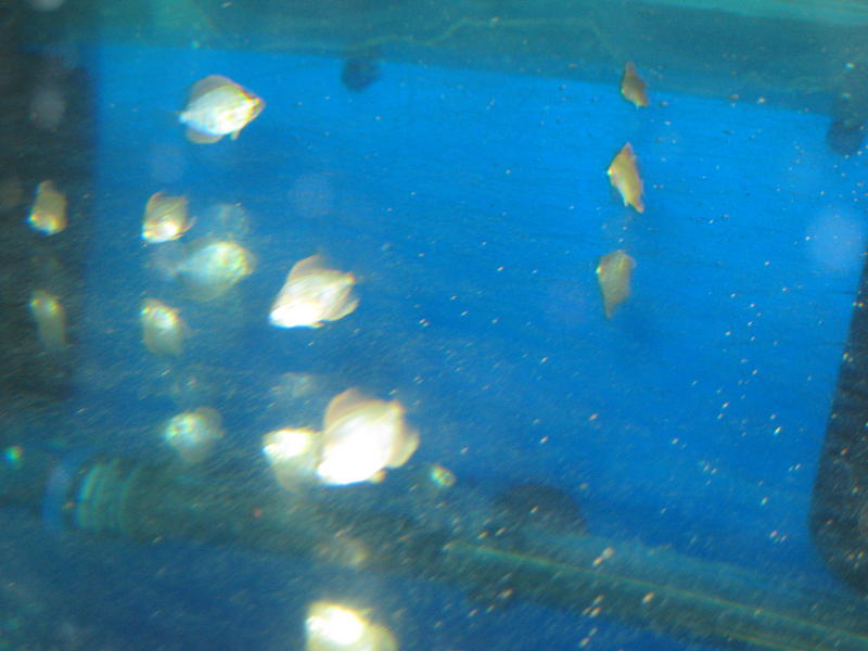 canon pics 035.jpg