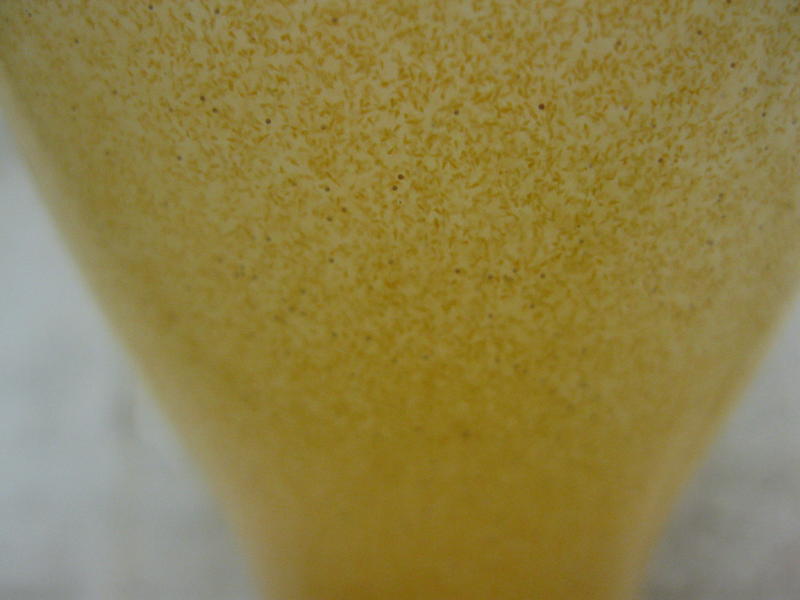 canon pics 039.jpg