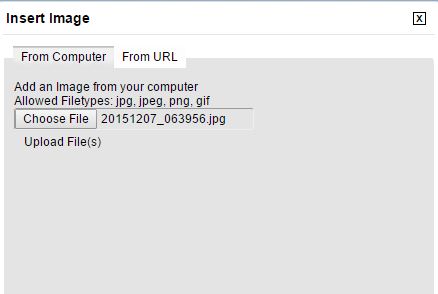 Capture 3.JPG