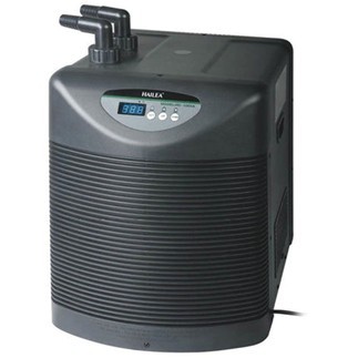 chiller 3.jpeg