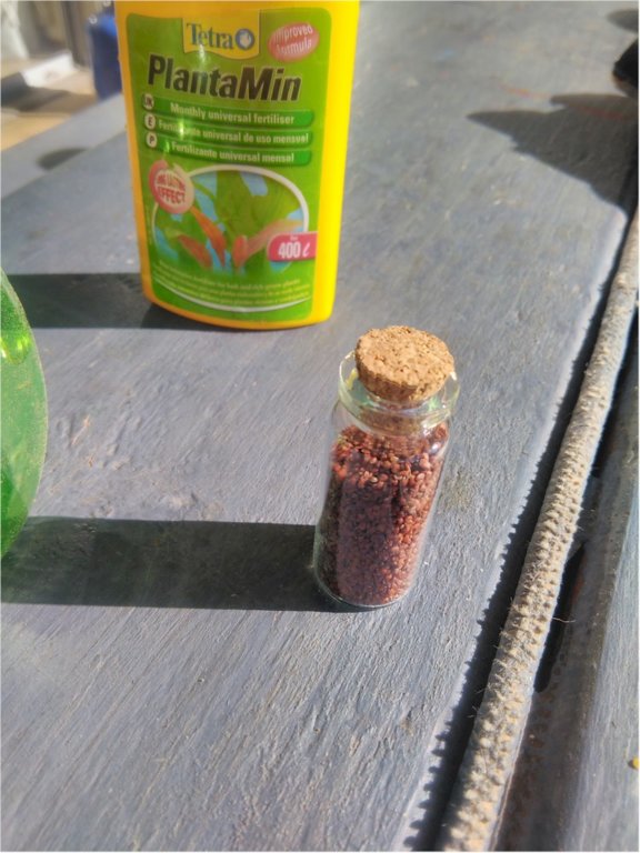 ChineseWeed.jpg