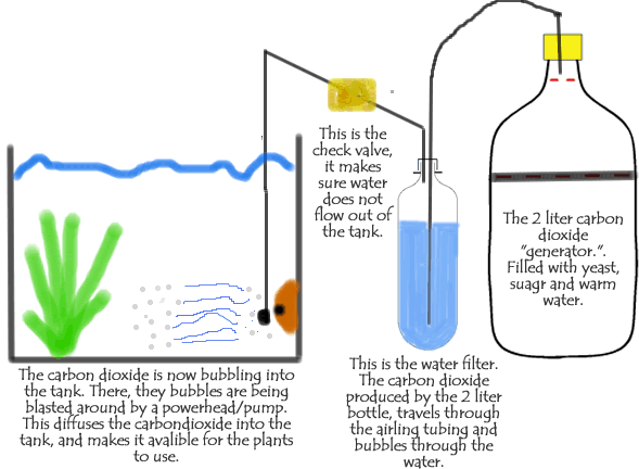 co2.gif