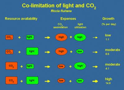 co2light.jpg