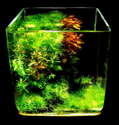 cube2.jpg