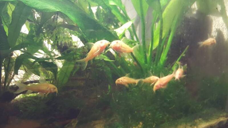 d46ec67f70ef57306fd812dfa8336dce.jpg