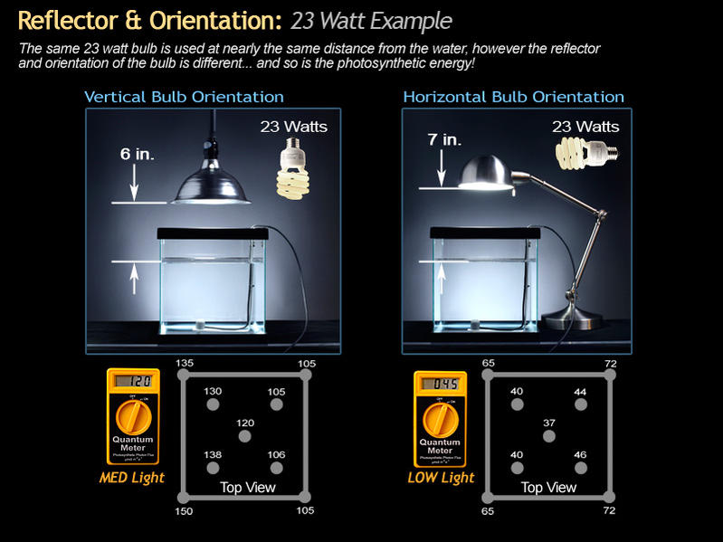 Diagram6[1].jpg