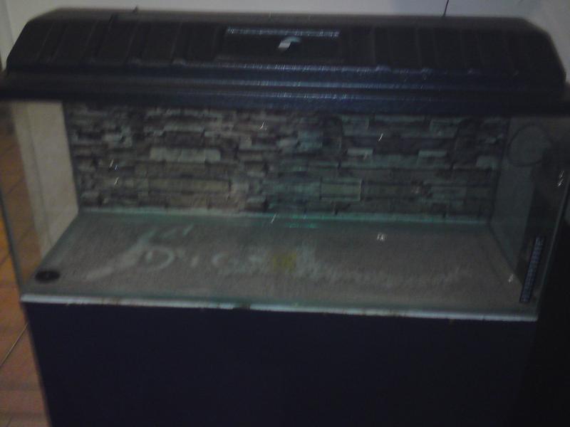 DSC00135.jpg