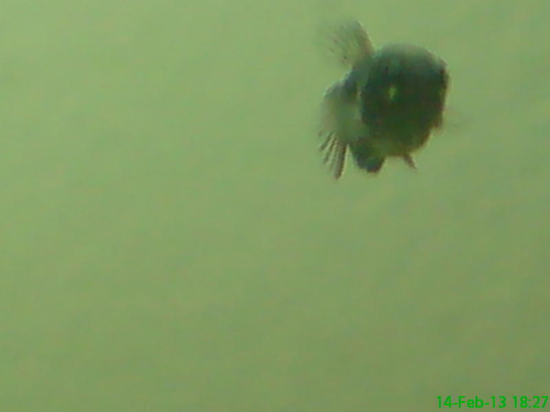 DSC00200.jpg