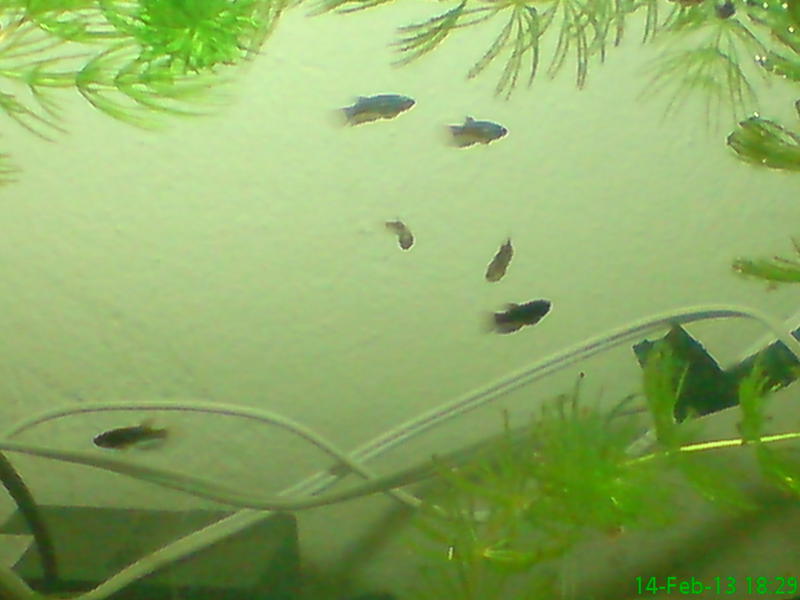 DSC00202.jpg