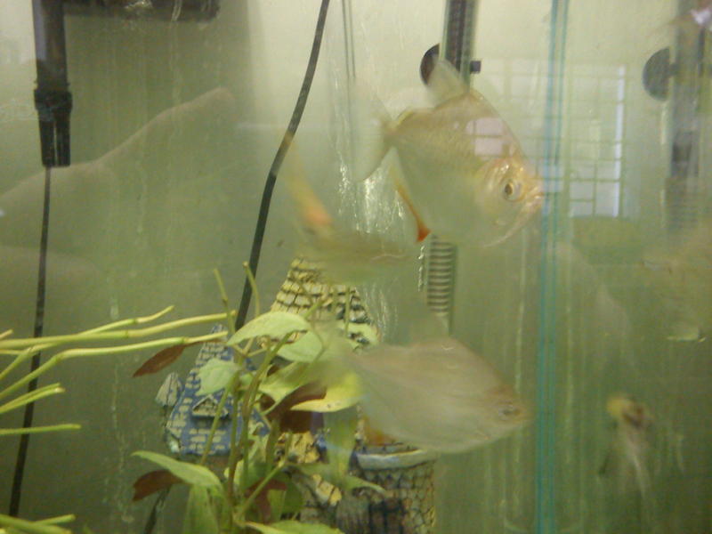 DSC00415.jpg